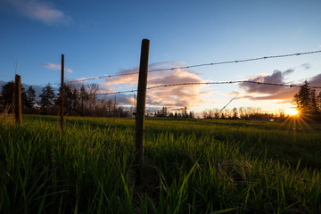 Beautiful landscape view on the farm field behind the barb wired fence. Taken during a cloudy...