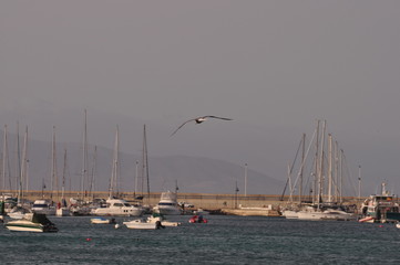 vacanze 2013