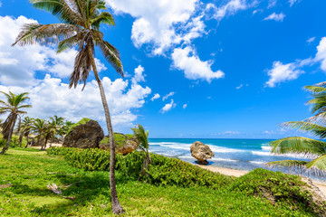 Rock formation on the beach of Bathsheba, East coast of  island Barbados, Caribbean Islands - travel destination for vacation - obrazy, fototapety, plakaty