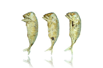 Three of fried of Thai mackerel isolated on white background with Clipping path.