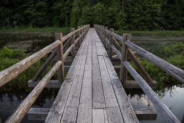 Fototapeta na wymiar Wooden bridge across swampy water full of leafs and grass. Taken in Brohm Lake, between Squamish and Whistler, North of Vancouver, BC, Canada.