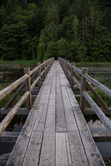 Wooden bridge across swampy water full of leafs and grass. Taken in Brohm Lake, between Squamish and Whistler, North of Vancouver, BC, Canada.