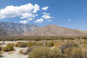 A view Natural Mountain Creek just outside Palm Springs in California 