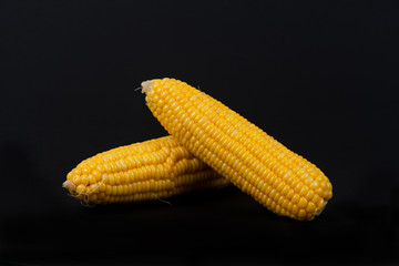 yellow fresh corn  on black background