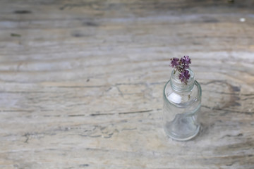 Dry Thyme medical herb flower in glass bottle on wooden rural background