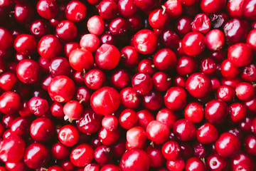 natural sweet burgundy red wallpaper of berry fresh cranberries cranberry close-up