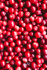 natural sweet burgundy red wallpaper of berry fresh cranberries cranberry close-up