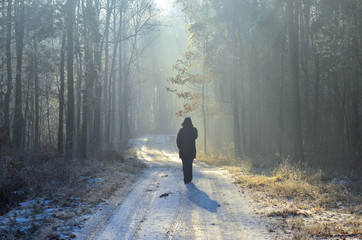 Spacer zimą w lesie