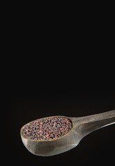 Black mustard seeds on wooden spoon - Brassica nigra