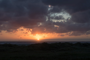 Fototapeta na wymiar Kitesurfer im Sonnenuntergang