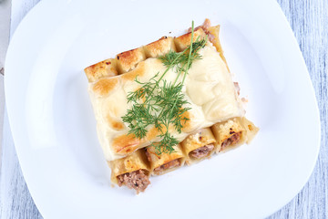 Baked cannelloni with cheese and tomatoes on a white plate