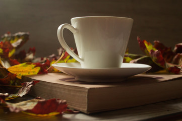 Fototapeta na wymiar autumn afternoon with a book and a cup of coffee
