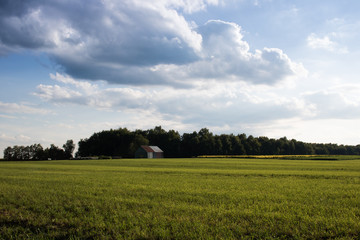 Big Sky over Tobacco Field with Barn