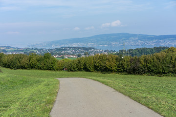 landscape of lake zurich in summer from hiking trail switzerland tourism travel destination nature blue sky