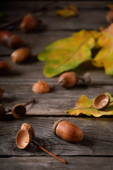 autumn still life in sunlight on a wooden background, acorns, oak fruits, oak leaves on wooden background