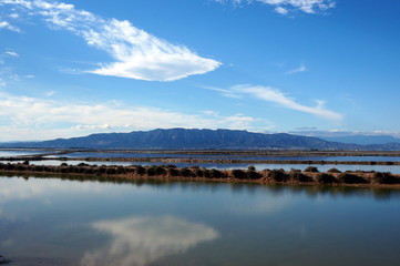 Reflections at Deltebre