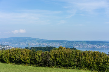 Obraz premium landscape of lake zurich in summer with tree line hiking trail switzerland tourism travel destination nature panorama