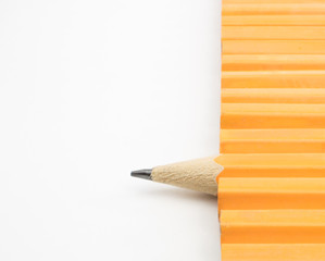 Yellow Pencil Standing out in a Crowd