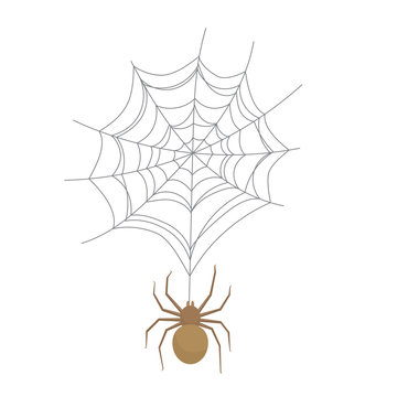 Spider on the web, colorful scary Halloween illustration. Vector