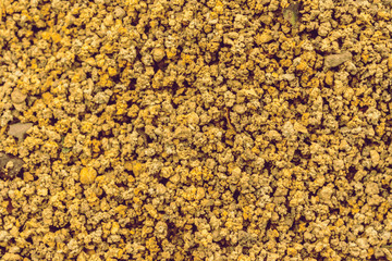 Ground sand texture