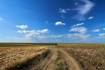 Fototapeta na wymiar Agricultural road through fields