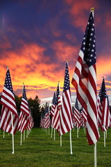 A patriotic field of flags backed by a blazing sunset.