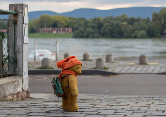 Old teddy bear walking on a cobbled street in Europe with rucksack in knitted cap and scarf