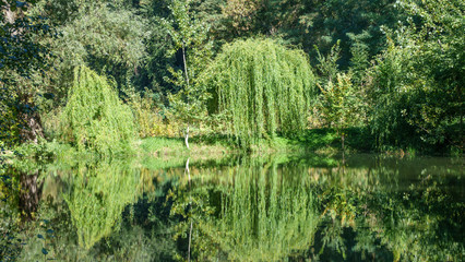 Fototapeta premium Autumn landscape with lake