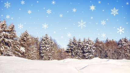 Christmas background. Winter forest in snow with falling snowflakes. New Year concept