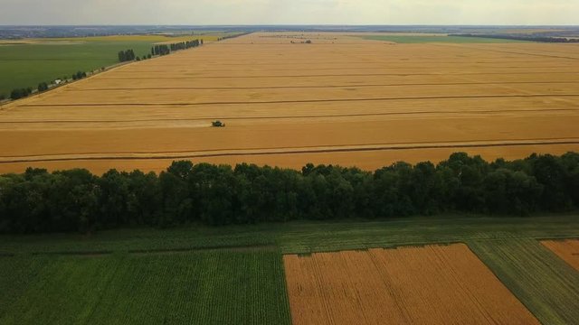 Flying above agriculture fields and combine harvester. Aerial drone footage. Beautiful agricultural scene. Harvest season in Europe 