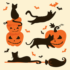Halloween cats and pumpkins. Trick or treat card