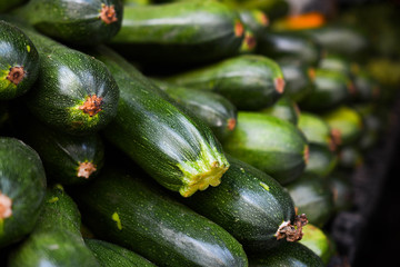 Zucchini
