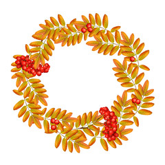 Autumn wreath with rowan, leaves and ashberry isolated on white background. Beautiful greeting card with a wreath of realistic 3d mesh rowan branches with ashberry. Vector illustration