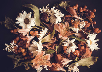 Autumn flowers background