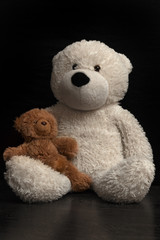 baby toy teddy bears on a black background