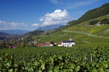 campagne de savoie 