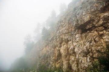 Rocky Mountains with trees in moody foggy morning