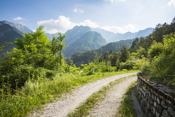 A road in the mountain with trees and a small stone wall in a sunny day with clouds.