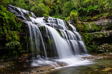 Fototapeta na wymiar Liffey Falls State Reserve at the Midlands region of Tasmania, Australia..