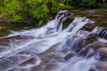 Liffey Falls State Reserve at the Midlands region of Tasmania, Australia..
