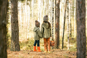 Gathering of mushrooms.