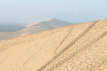 Fototapeta na wymiar dune of the pyla