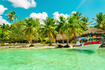 Obraz na płótnie Canvas Amazing exotic palm tree beach with colorful boat, Dominican Republic