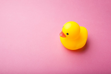 Yellow duckling on a pink background, space for text.