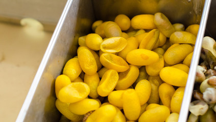 Boiling silkworm cocoon in the pot, Silk Production Process