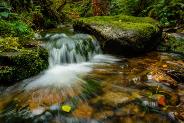 Wasser Langzeitbelichtung am Bergbach Rungstocktal