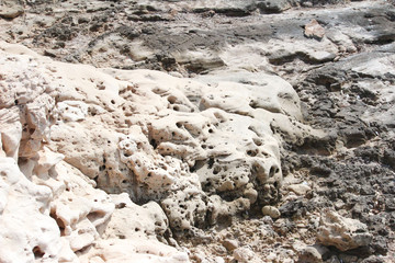 limestone eroded, in Djerba, Tunisia