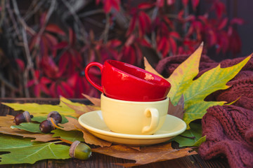 Two cups in autumn leaves