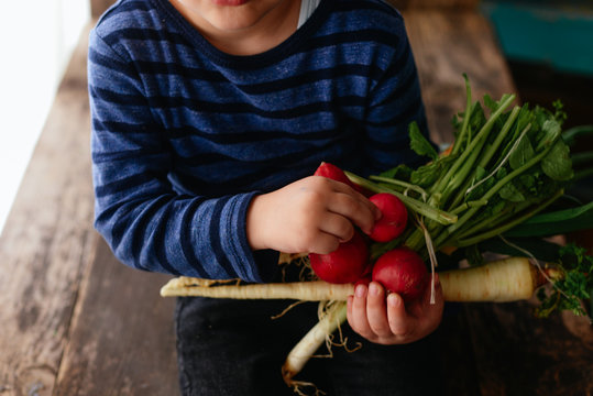 Boy and vegetable