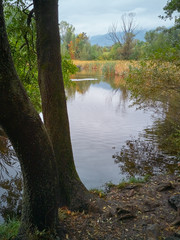 Autumn in a city park